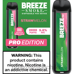 Breeze Disposable Vape Flavors | Breeze Pro 2000 bocanadas melón de paja 8JX614
