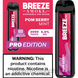 Breeze Disposable Vape Reddit | Breeze Pro 2000 bocanadas menta de baya de pom 8JX617